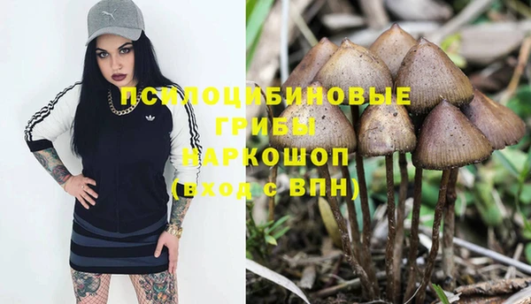 кристаллы Алексин